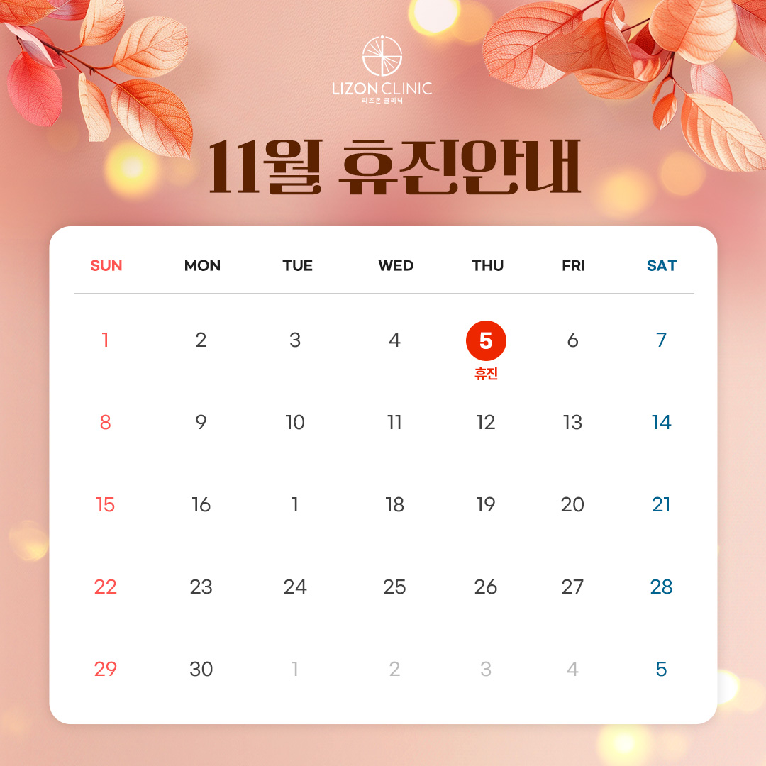 2026년 11월 진료휴진 안내